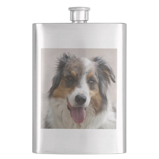 Flasque merle aussie (devant)