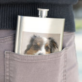 Flasque merle aussie (En situation)