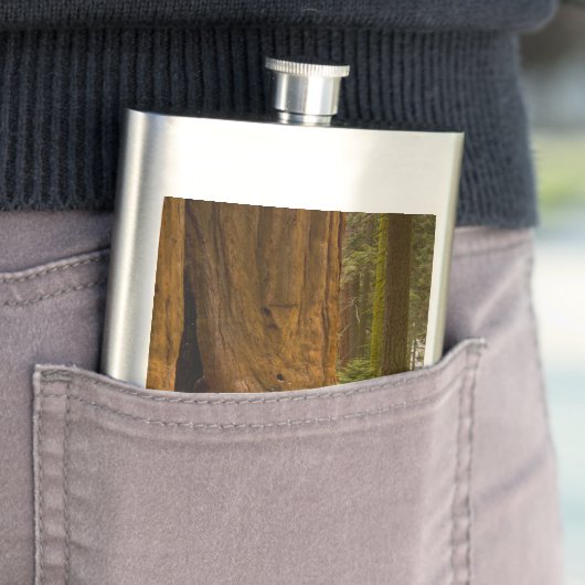 Flasque Mule Deer (En situation)