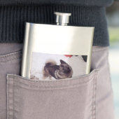 Flasque Norwegian_Elkhound_full 2 (En situation)