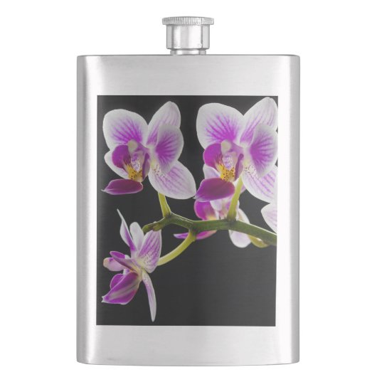 Flasque Orchidée blanche et violette (devant)
