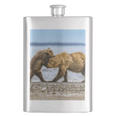 Flasque Ours brun côtier (devant)