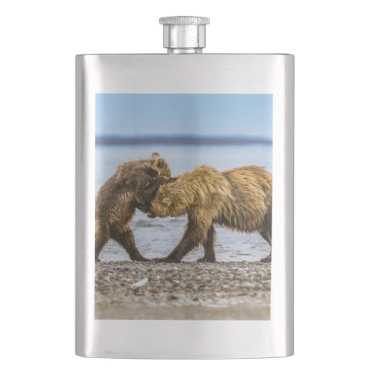 Flasque Ours brun côtier (devant)