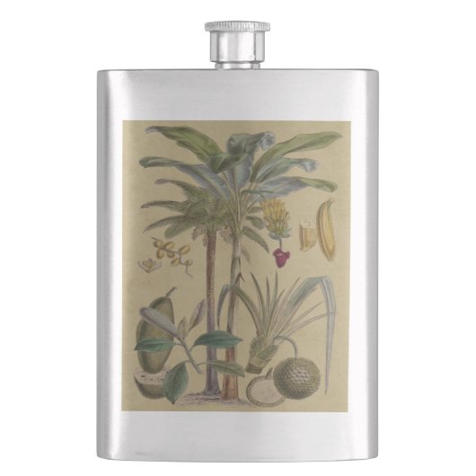 Flasque Palm Antique Fruit Tropical Art Botanique (devant)