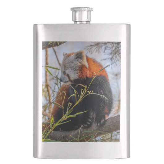 Flasque Panda rouge (devant)