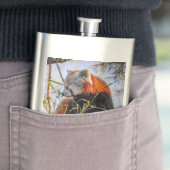 Flasque Panda rouge (En situation)