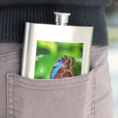 Flasque Peinture à papillon (En situation)