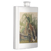 Flasque Peinture d'oiseaux de Mallard Duck Audubon (Droite)