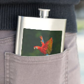 Flasque Perroquet en vol (En situation)