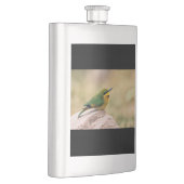 Flasque Petit Bee-Eater (Droite)