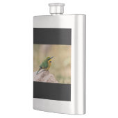 Flasque Petit Bee-Eater (Gauche)