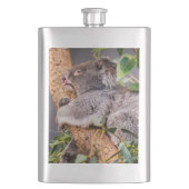 Flasque Petit koala doux (devant)
