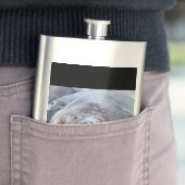 Flasque Phoque d'éléphant dormant (En situation)