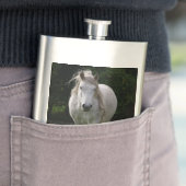 Flasque Photo du poney de Cute (En situation)