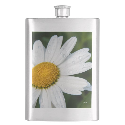 Flasque photo, une margueritte, font vert (devant)