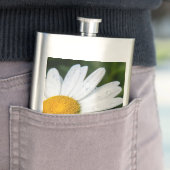 Flasque photo, une margueritte, font vert (En situation)
