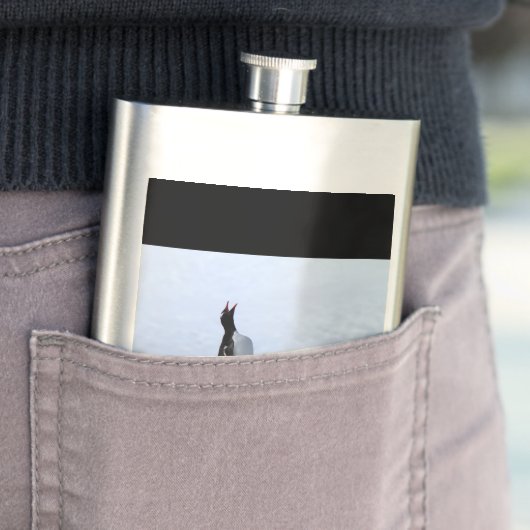 Flasque Pingouin Gentoo (En situation)