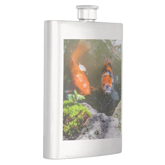 Flasque Poisson Koi dans un étang (Droite)