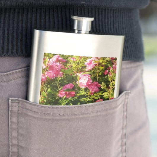 Flasque Roses roses en fleur (En situation)