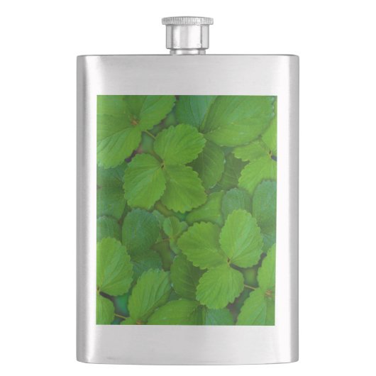 Flasque Saint Basil Tulsi Green Mint Feuilles (devant)