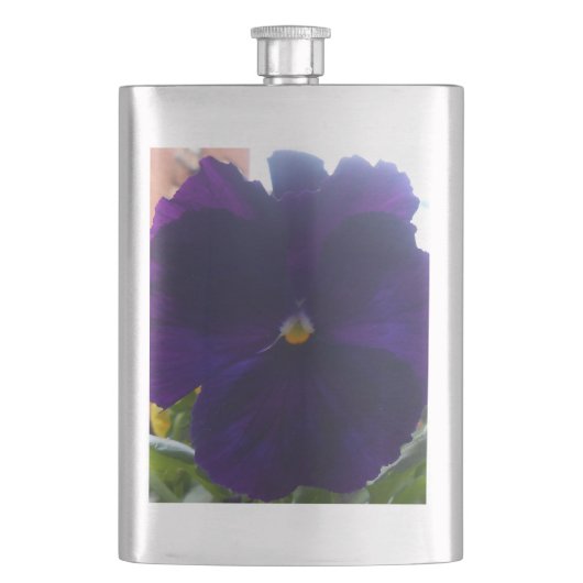 Flasque Sibylla (devant)