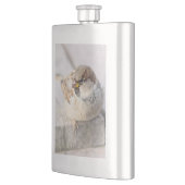 Flasque Sparrow - Après la transatlantique (Gauche)