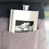 Flasque Super Hornet F/A-18E (En situation)