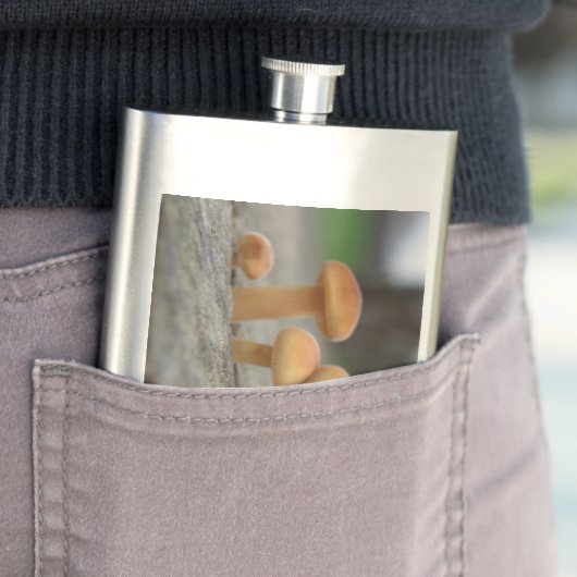 Flasque Tabourets Toadstools (En situation)