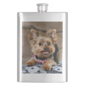 Flasque Tiny dynamo (devant)