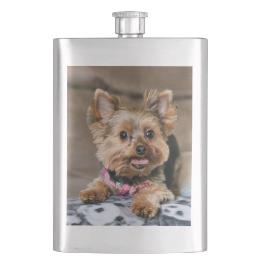 Flasque Tiny dynamo (devant)