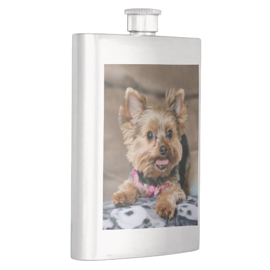 Flasque Tiny dynamo (Droite)