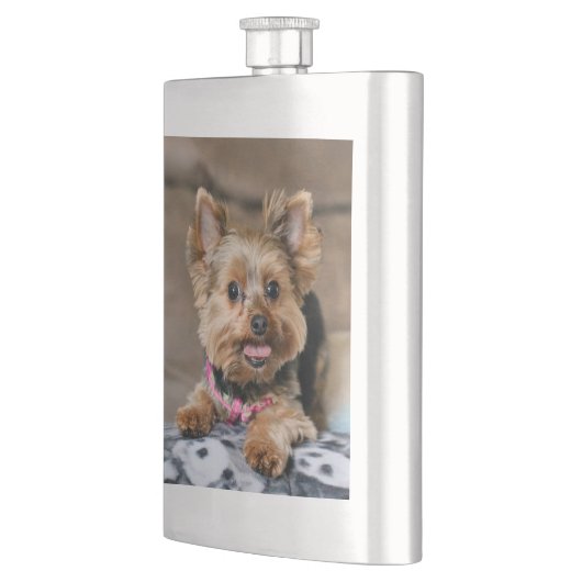 Flasque Tiny dynamo (Gauche)