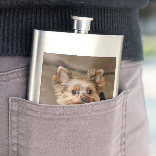 Flasque Tiny dynamo (En situation)