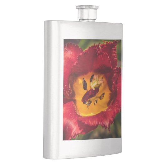 Flasque Tuliforme rouge (Droite)