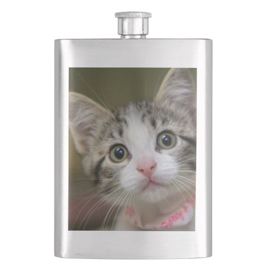 Flasque Un chaton mignon aux yeux verts (devant)