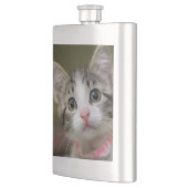 Flasque Un chaton mignon aux yeux verts (Gauche)