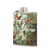 Flasques 12 oiseaux charmeurs américains races peintes dess (Gauche)