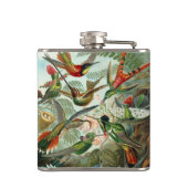 Flasques 12 oiseaux charmeurs américains races peintes dess (Dos)