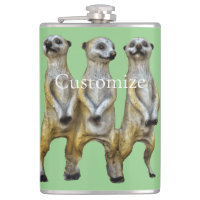 3 Meerkats debats Thunder_Cove