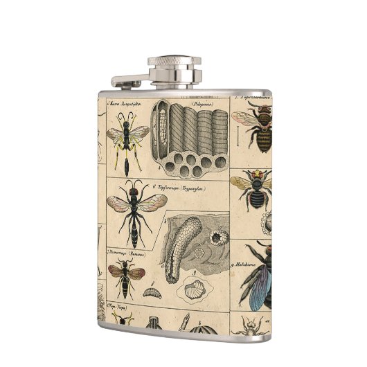 Flasques Abeille Insecte Bug Wasp Histoire naturelle abeill (Gauche)