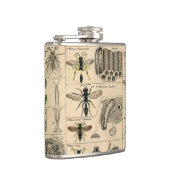 Flasques Abeille Insecte Bug Wasp Histoire naturelle abeill (Droite)