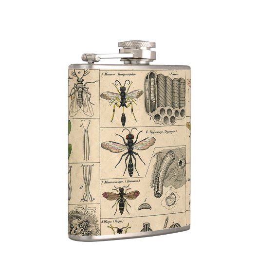 Flasques Abeille Insecte Bug Wasp Histoire naturelle abeill (Droite)