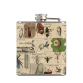 Flasques Abeille Insecte Bug Wasp Histoire naturelle abeill (Dos)