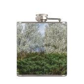 Flasques Accueil du lecteur Spring (Dos)