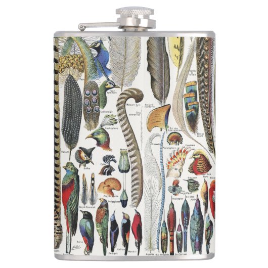 Flasques Adolphe Millot Dark Academia Vintage Plume d'oisea (Devant)