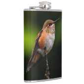 Flasques Adorable colibri roux à la branche (Droite)