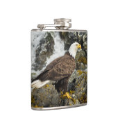 Flasques Aigle à tête blanche (Droite)