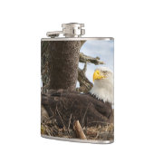Flasques Aigle nicheur (Gauche)