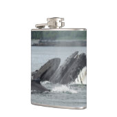 Flasques Alimentation des baleines à bosse (Gauche)