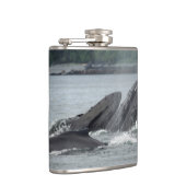 Flasques Alimentation des baleines à bosse (Droite)